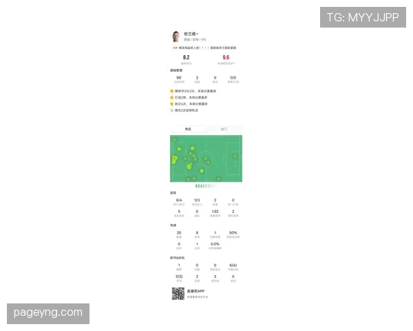 哈兰德世界杯进球数预测